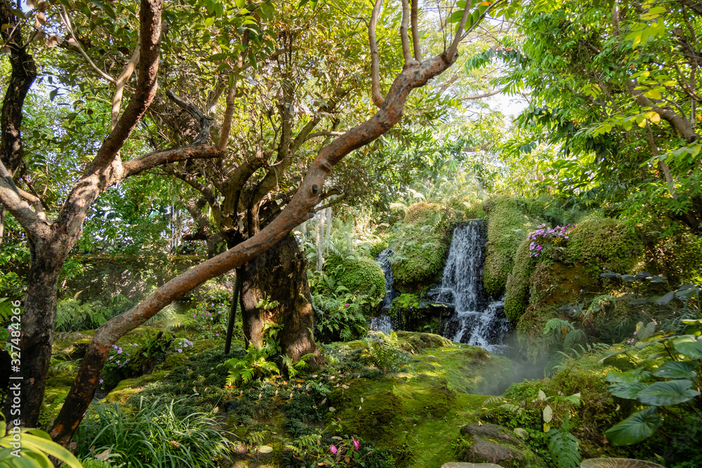 Fototapeta premium Photos of garden, trees, waterfalls, background, sunlight, natural, beautiful, green, can be used as a background