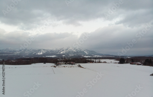 Winter landscape photo of snow covered fields and bare trees with the majestic Mount Yotei in the background  photo