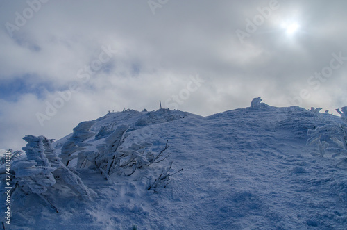 Fototapeta Naklejka Na Ścianę i Meble -  zima na połoninie Wetlińskiej Bieszczady 