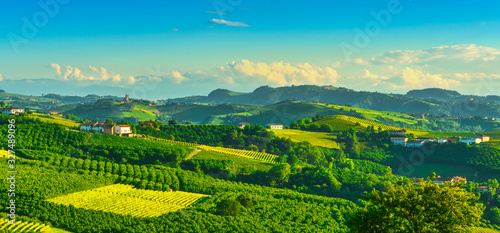 Langhe vineyards and hazel tree cultivation. Serralunga Alba, Piedmont, Italy Europe.