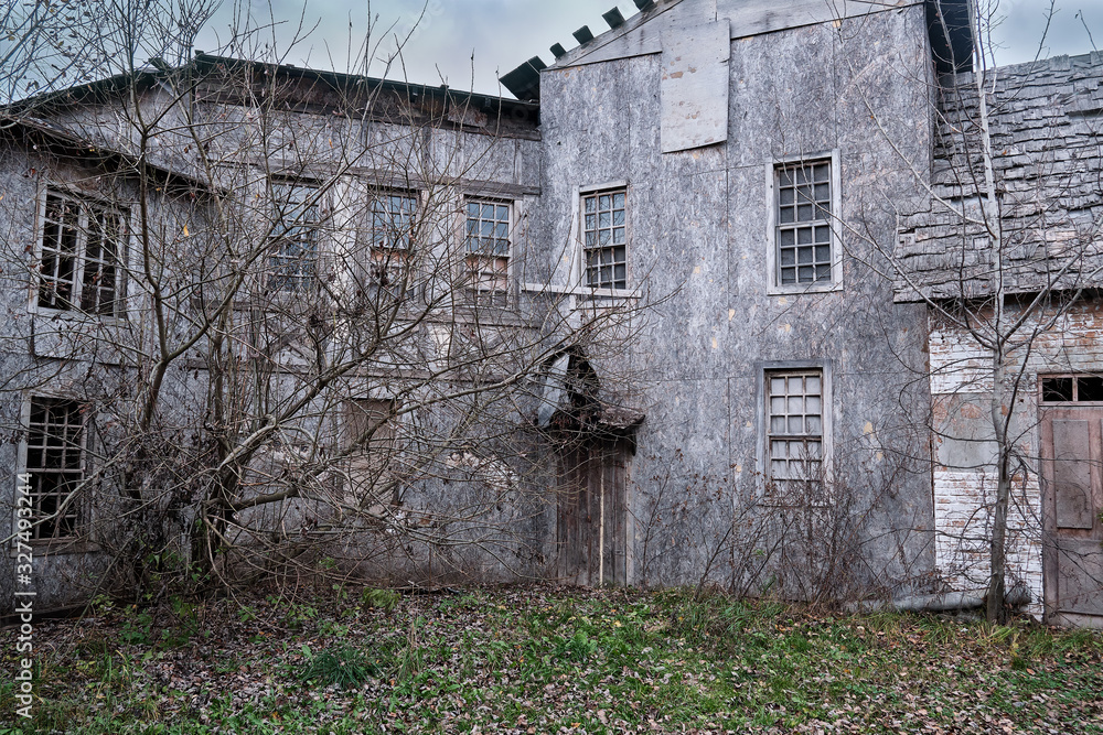 Obraz premium Old city closed by tree branches on a background of gray cloudy sky