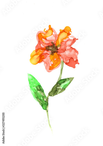 Hand painted botanical element. Bright flower.