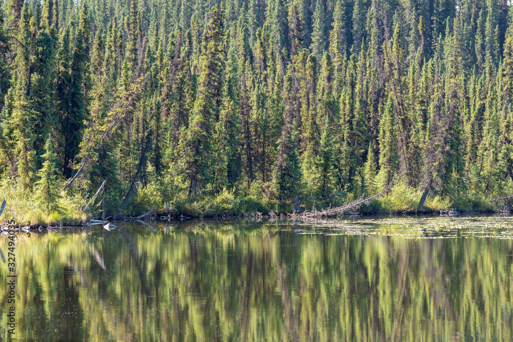 Trees reflected in Morcheau Lake in British Columbia, Canada Trees reflected in Morcheau Lake in British Columbia, Canada