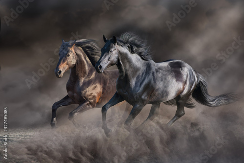Two horse run gallop in desert storm © kwadrat70