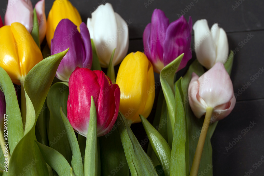 Tulips flowers background Tulips flowers background