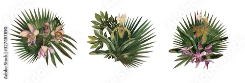Tropical leaves and flowers isolated on white background. Round palm leaves, watercolor painted orchids.