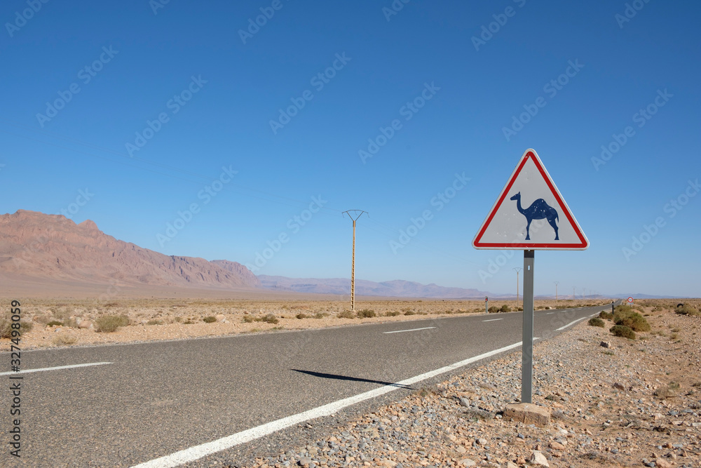 A single road sign on a lonely road through the Sahara warns of camels