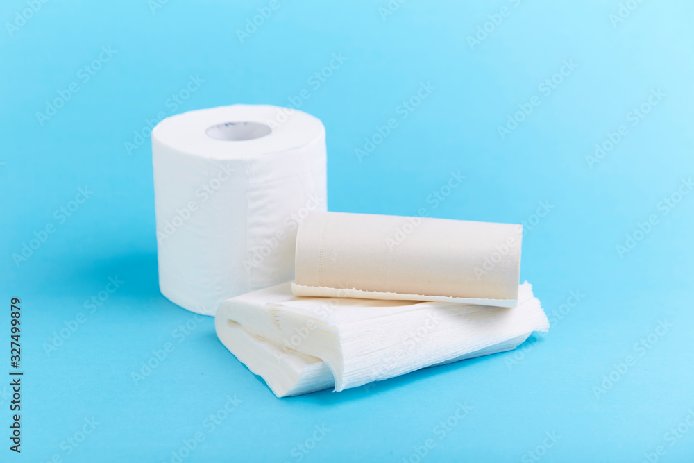 Fototapeta premium A roll of toilet paper