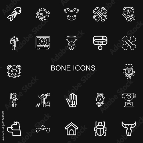 Editable 22 bone icons for web and mobile
