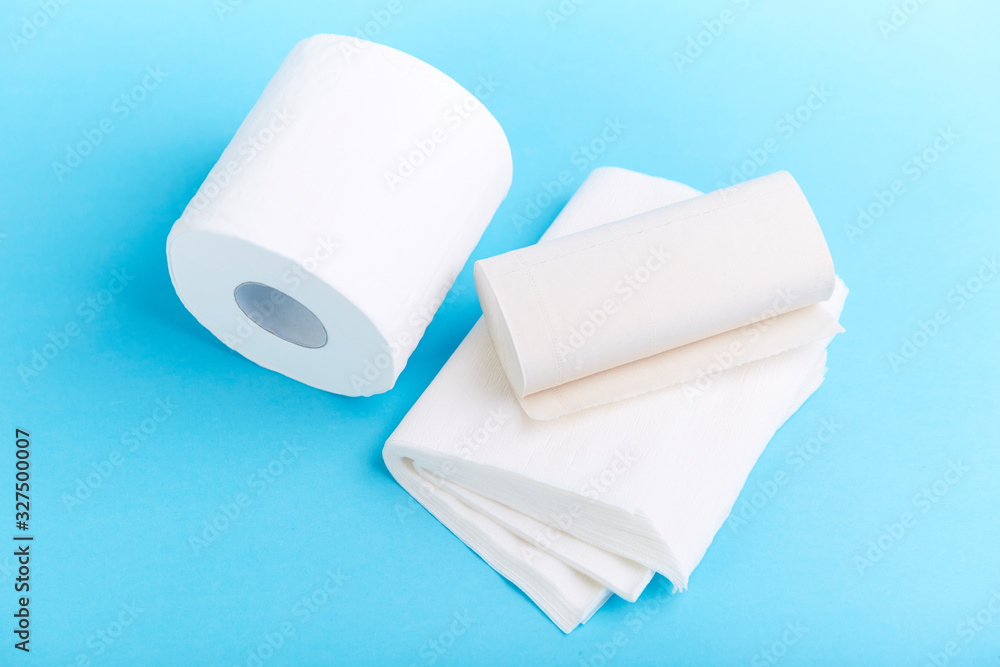 Fototapeta premium A roll of toilet paper