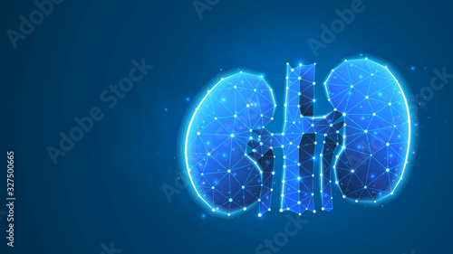 Human kidneys. Adult body anatomy, health biology, internal world of people. Low poly, wireframe 3d vector illustration. Abstract, polygonal image on blue neon background