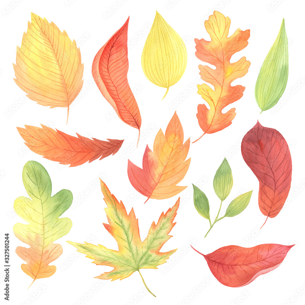 Watercolor autumn colorful  leaves set