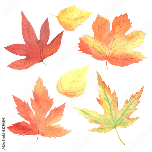 Watercolor autumn colorful leaves set
