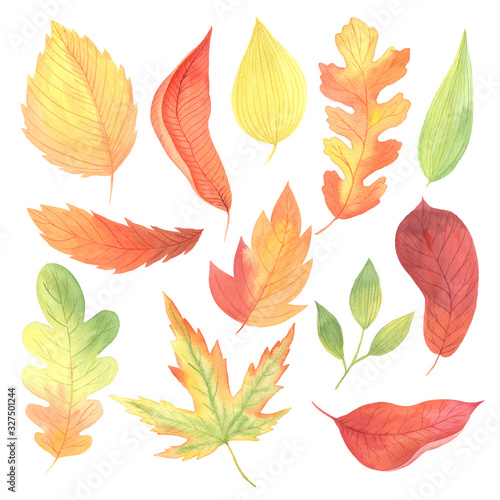 Watercolor autumn colorful leaves set