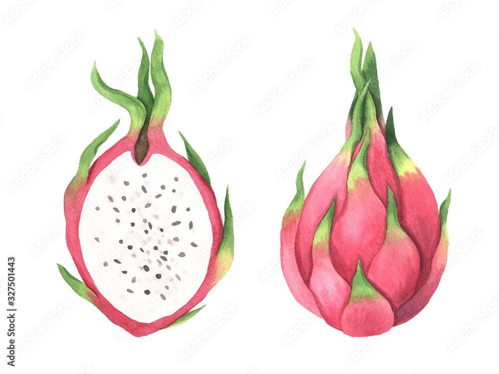 Set of hand painted watercolor summer fruits Set of hand painted watercolor summer fruits