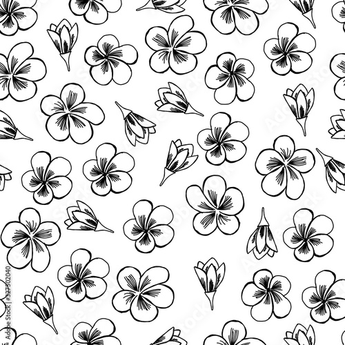 Seamless vector pattern of frangipani flowers. Black and white plumeria Illustration in doodle skandinavian style. Cute background for textile or cover print.