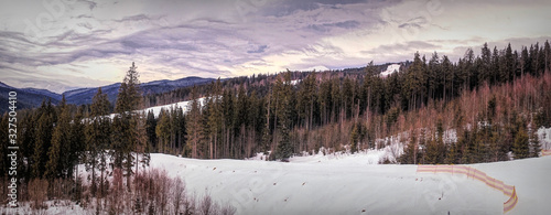 Winter cloudy landscape of the Carpathian Mountains in Eastern Europe © konoplizkaya
