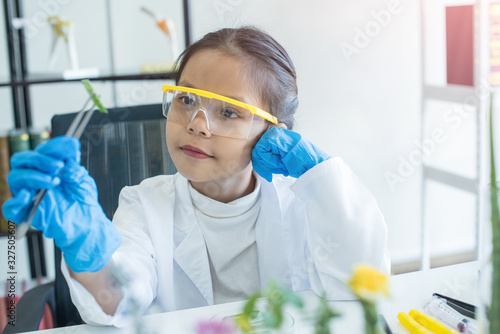 little asian girl elementary school looking the hand that holds the tweezers aloe crocodile on desk at school. scientist making experiments in home laboratory. child and science. education concept. . photo