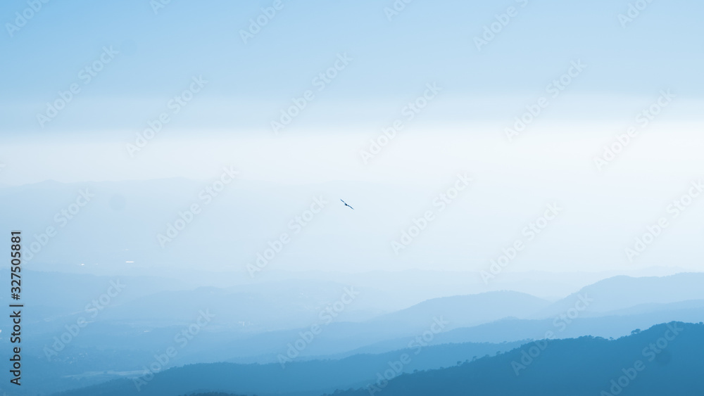 eagle fly around mountain and sky