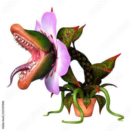 Photographie 3D Rendering Carnivorous Plant on White