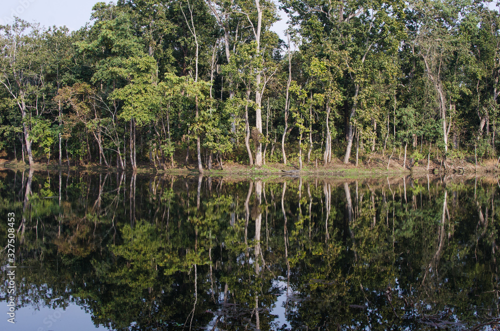 Obraz premium Arboles reflejados en un lago tranquilo de forma simétrica