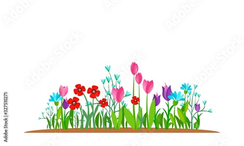 Summer and spring blossom forest and garden flowers field isolated on white background. Nature springtime flower. Vector illustration