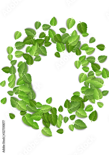 Flying green leaves on white background. Spring leaf vertical pattern on isolated backdrop. Fall fresh leaves plant. Vector illustration