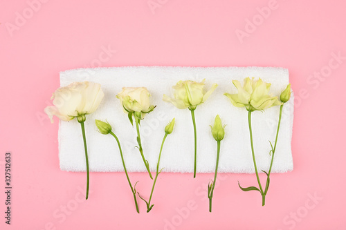 White roses on a white towel, on a pink background. open and closed buds, place for an inscription. invitation lette.