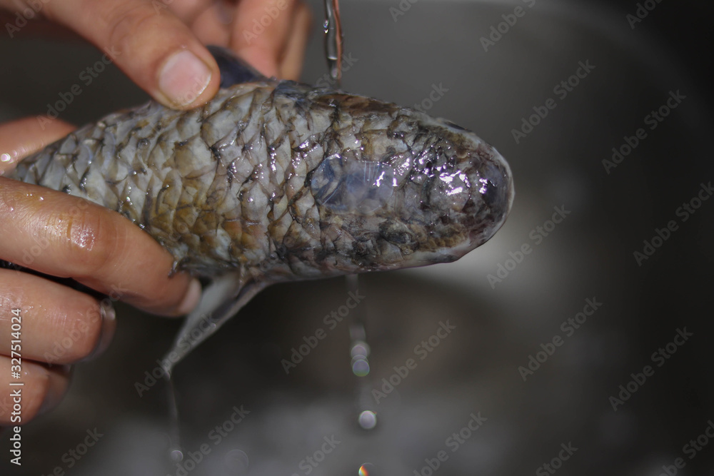Fototapeta premium cleaning and washing the body of fish with water