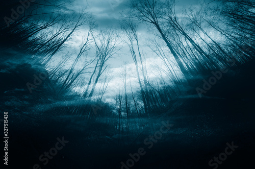night in dark mysterious forest, dark halloween background