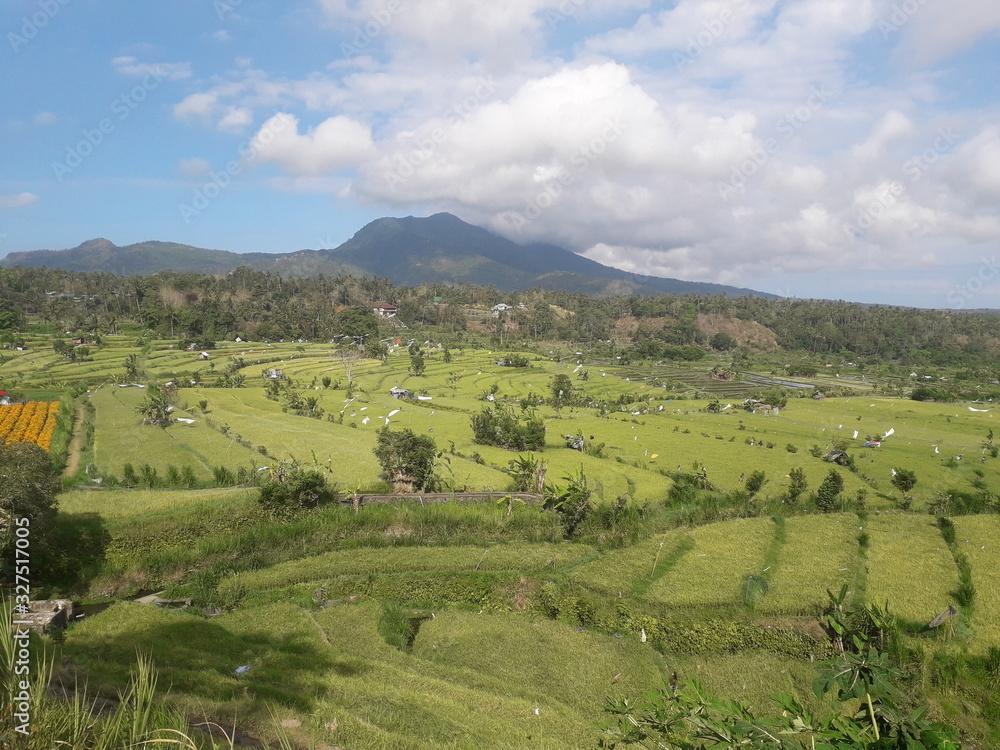 Bali View