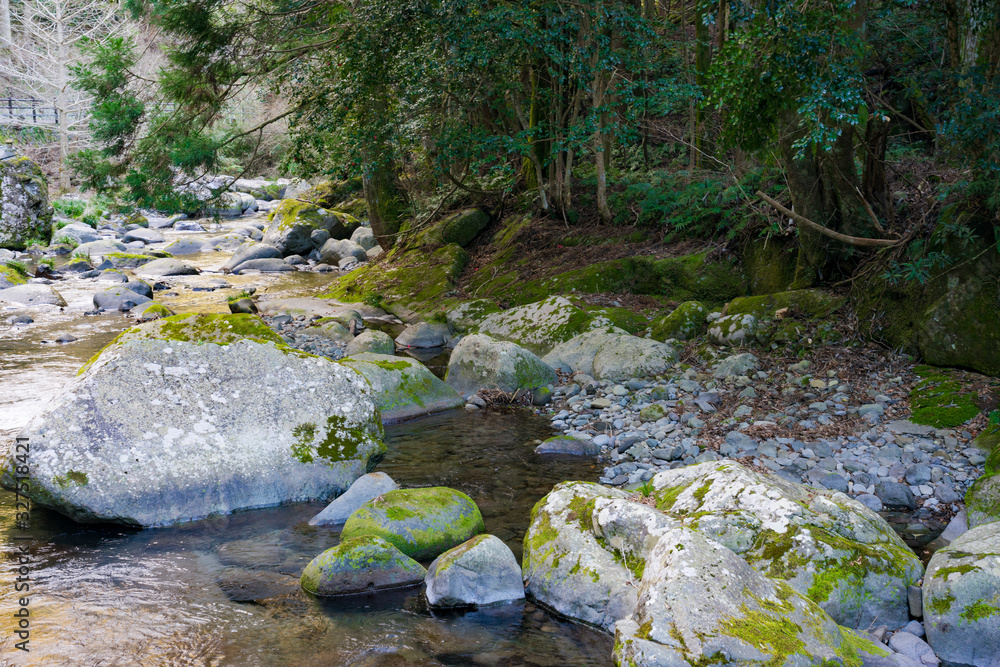 Fototapeta premium 河津七滝の川