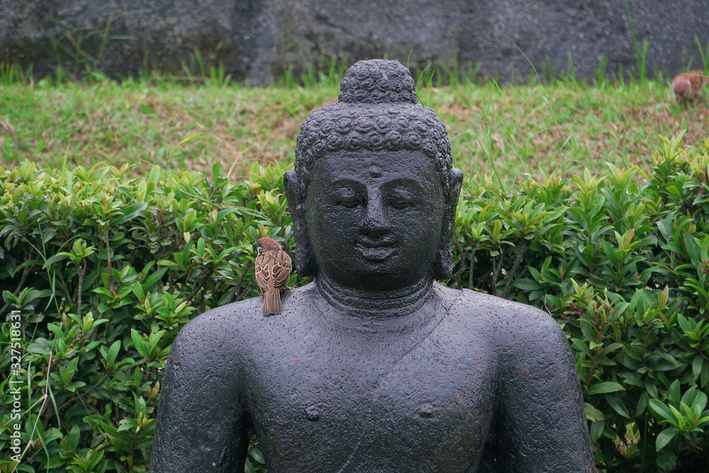 Buddha statue with a Sparrow bird sitting on its shoulder.
