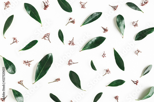 Flowers composition. Tropical leaves and flowers on white background. Flat lay, top view