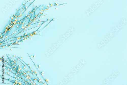 Fototapeta Naklejka Na Ścianę i Meble -  Flowers composition. Spring flowers on blue background. Flat lay, top view