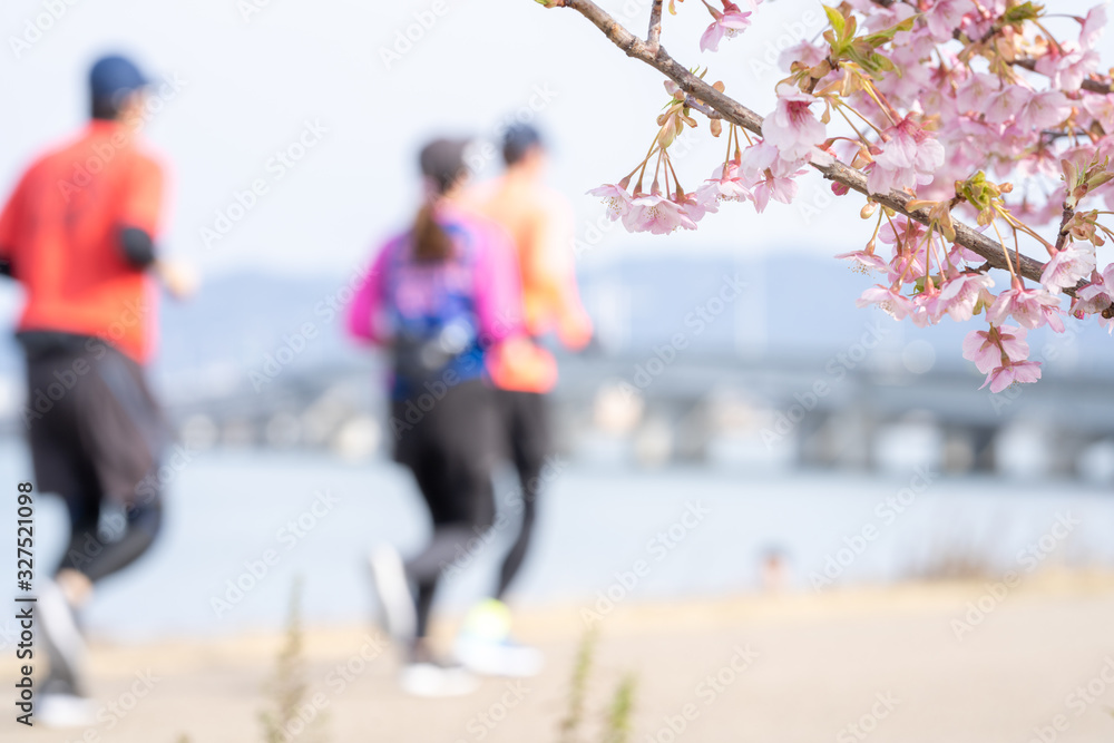 桜とジョギングする人々
