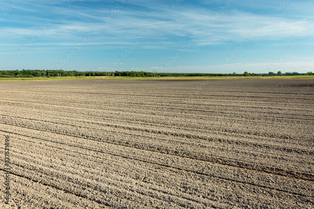 Huge plowed field, horizon and blue sky, rural view