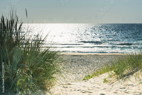 Grass on sandy beach dunes at sea coast in sunny noon