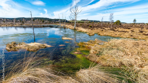 Tableau sur toile The largest bog and nature reserve in southern Germany