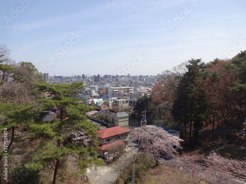 Cherry Blossom in Utsunomiya City, Japan