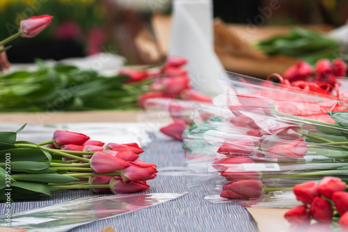 Florists in a greenhouse collect bouquets of tulips for delivery 
