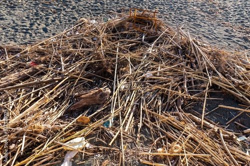 Foto wood and waste left by the sea on the beach