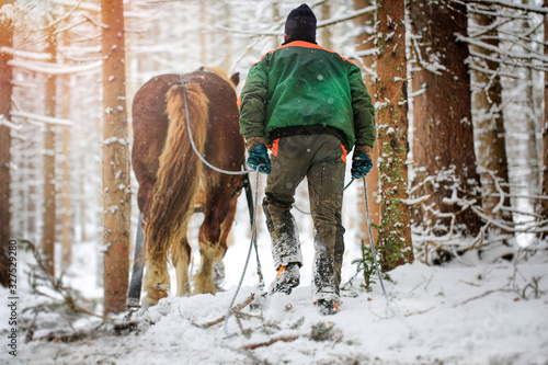 Fototapeta Naklejka Na Ścianę i Meble -  Hard work of man and horse in inaccessible mountain areas.Slovak mountains