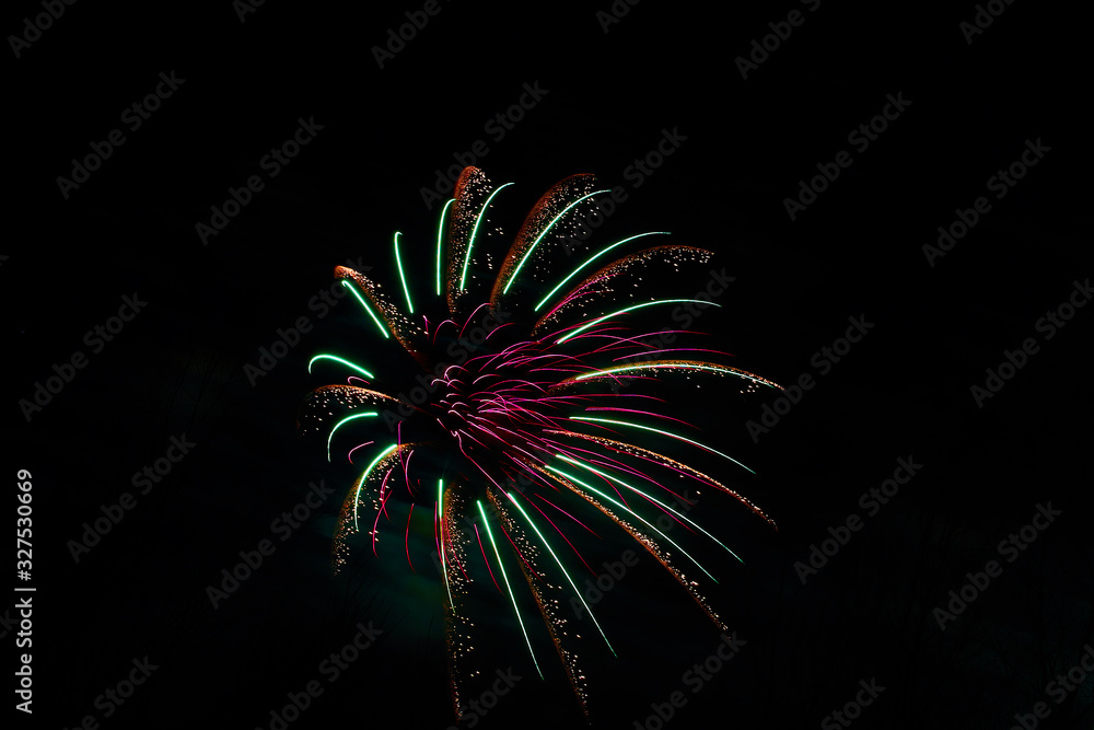 beautiful fireworks in the night sky