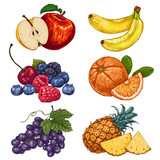 Fresh and juicy fruits. hand drawn illustration isolated on white background. Doodle vegan food illustrations