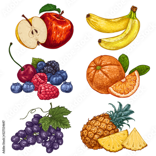 Fresh and juicy fruits. hand drawn illustration isolated on white background. Doodle vegan food illustrations