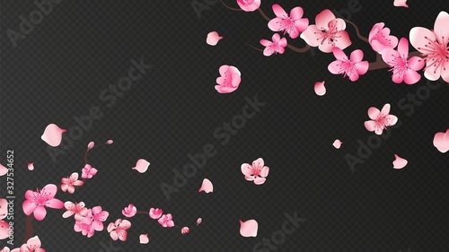 Sakura blossom. Falling petals, isolated flower elements. Flying realistic japanese apricot or pink cherry fall down vector romantic background. Branch blossom sakura, flying petals illustration