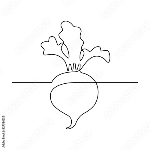 Simple beetroot design in continuous line art drawing style. Growing beet plant minimalist black linear sketch isolated on white background. Vector illustration