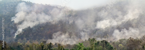 Amazon rain forest fire disaster is burning at a rate scientists have never seen before. © toa555