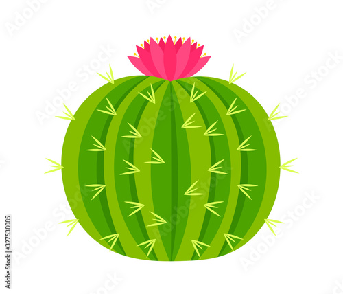 Round cactus with pink flower. Cactus icon vector illustration.